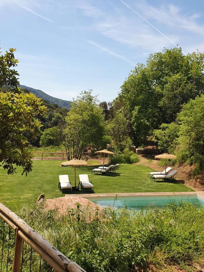 Maison d'hôtes Nits de Bosc à Vilassar De Dalt Extérieur photo